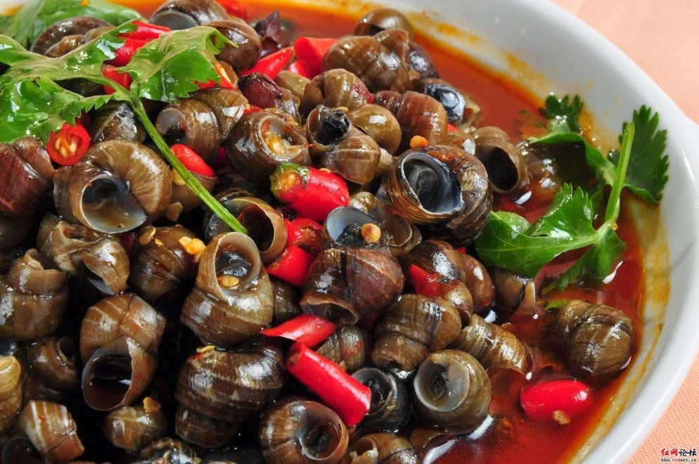 Ốc có màu bắt mắt.