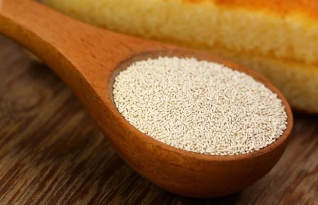 yeast la gi