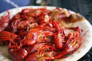 khóa học làm tôm hùm đất