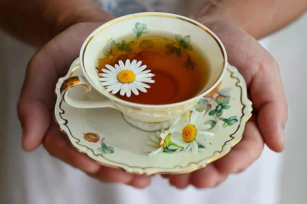 một tách trà hoa cúc ấm nóng