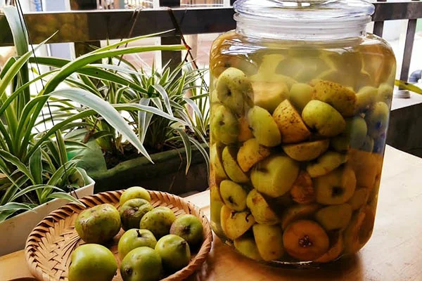 Rượu táo mèo