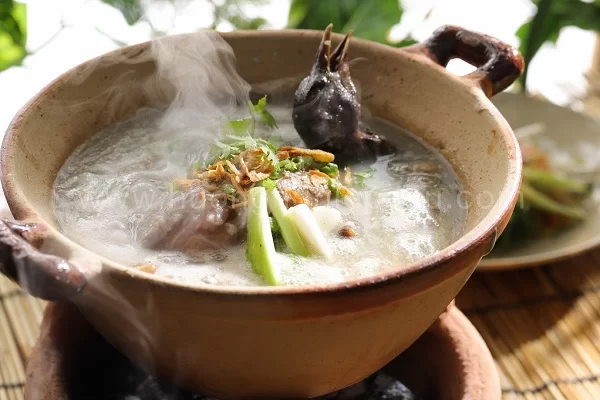 cháo bồ câu