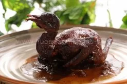 chuyên đề bồ câu quay chảo