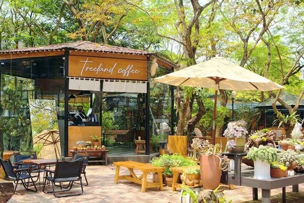 Mô Hình Cà Phê Sân Vườn
